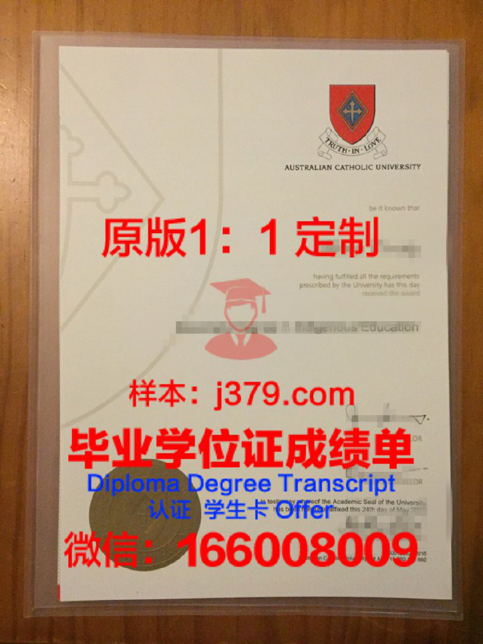 萨戈达大学毕业证书(萨拉戈萨大学学费)