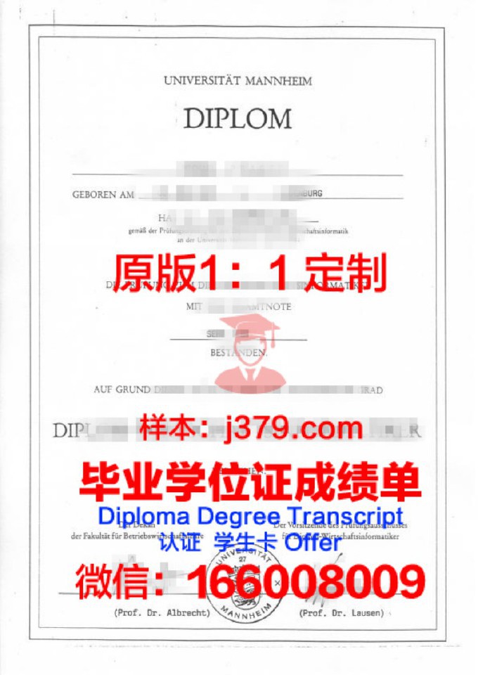 曼海姆应用技术大学diploma证书(曼海姆大学本科申请条件)